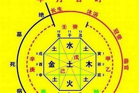 喜用神金意思|八字喜用神是什么 八字喜用神如何确定